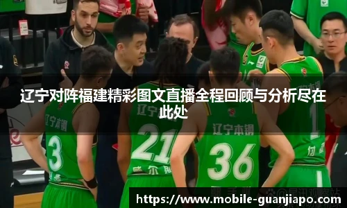 辽宁对阵福建精彩图文直播全程回顾与分析尽在此处