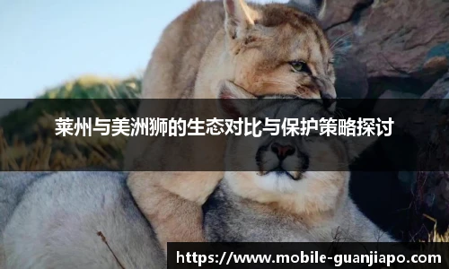 管家婆
