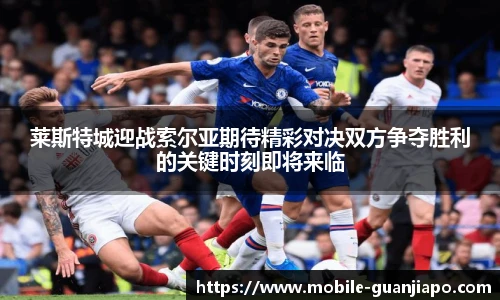 莱斯特城迎战索尔亚期待精彩对决双方争夺胜利的关键时刻即将来临